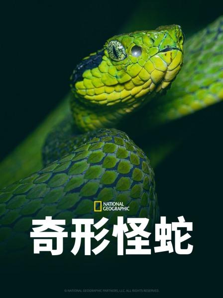 糖心破解版《奇形怪蛇》免费在线观看